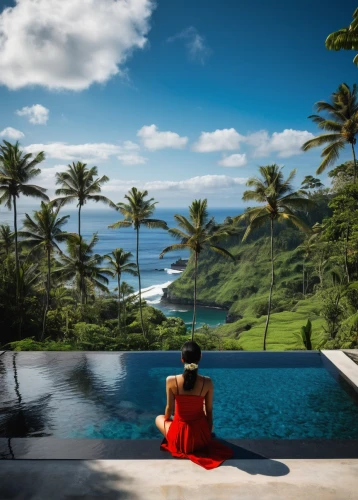 idyllic,infinity swimming pool,moorea,landscape background,seychelles,tropical house,holiday villa,uluwatu,seychelles scr,digital compositing,antilles,martinique,southern island,fiji,praslin,ocean view,guam,tahiti,ms island escape,bali,Illustration,Black and White,Black and White 16