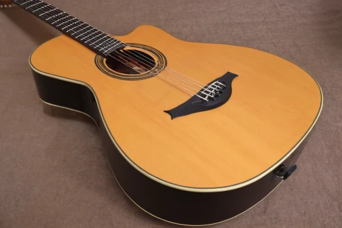 acoustic-electric guitar,acoustic guitar,classical guitar,fender g-dec,guitar,bouzouki,epiphone,stringed bowed instrument,concert guitar,arpeggione,bağlama,nash 600,luthier,stringed instrument,charango,cavaquinho,the guitar,mandolin mediator,embossed rosewood,1680 ccm,Illustration,Abstract Fantasy,Abstract Fantasy 15