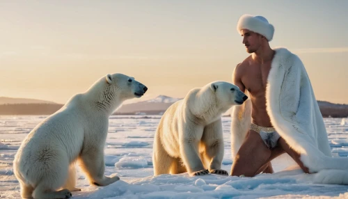 polar bears,polar bear children,the polar circle,polar bear,russian holiday,santa claus at beach,seal hunting,the amur adonis,north pole,winter animals,ice bears,icebear,nordic bear,polar,icelanders,polar bare coca cola,arctic,fur clothing,finnish lapland,eskimo,Photography,General,Commercial