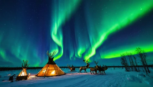 finnish lapland,northen lights,the northern lights,lapland,northern lights,norther lights,northern light,yellowknife,auroras,nothern lights,green aurora,northen light,polar lights,northernlight,aurora polar,aurora borealis,polar aurora,boreal,borealis,southern aurora,Illustration,Japanese style,Japanese Style 12