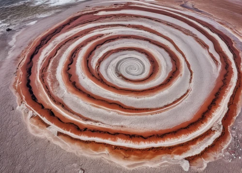 coral swirl,spiral pattern,salt flower,geological phenomenon,whirlpool pattern,art forms in nature,spiral,spirals,colorful spiral,red earth,time spiral,fibonacci spiral,red sand,ammonite,concentric,fossil dunes,swirl,spiralling,swirl clouds,circular pattern,Conceptual Art,Fantasy,Fantasy 31
