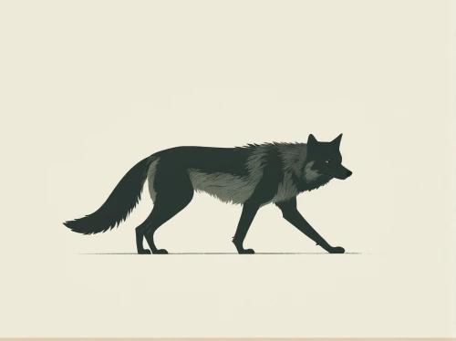 dog illustration,grey fox,coyote,wolf,kit fox,gray wolf,wolfdog,a fox,canidae,red wolf,european wolf,wolves,swift fox,garden-fox tail,canis lupus,czechoslovakian wolfdog,fox,animal icons,south american gray fox,gray animal,Illustration,Japanese style,Japanese Style 08