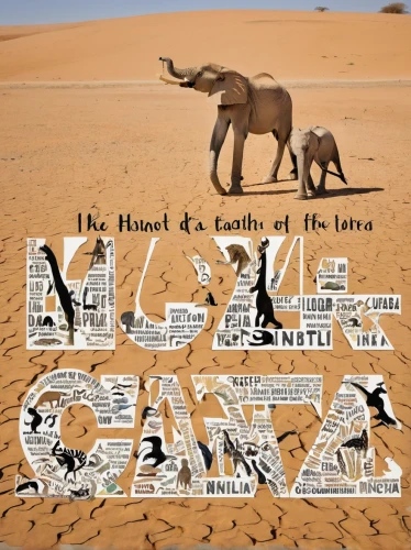 dromedaries,two-humped camel,elephants and mammoths,camels,male camel,camel,namib rand,arabian camel,house of allah,dromedary,camel caravan,hieroglyphs,elephantine,namib,hieroglyph,wordart,libyan desert,alphabet word images,word art,egypt,Illustration,Vector,Vector 21