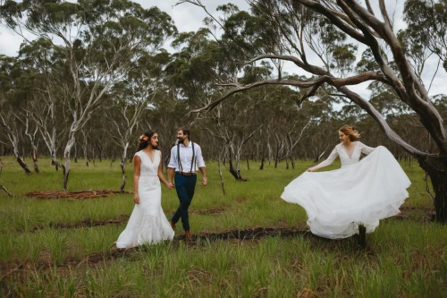 wedding photography,landscape designers sydney,gum trees,wedding dresses,new south wales,south australia,wedding photo,wedding dress train,wedding photographer,pre-wedding photo shoot,bridal party dress,hume highway,purslane family,saltbush,bridal clothing,aboriginal australian,indigenous australians,dowries,landscape design sydney,aboriginal culture,Art,Artistic Painting,Artistic Painting 25