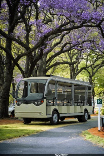 jacaranda trees,optare solo,optare tempo,volvo 700 series,travel trailer poster,neoplan,southern wine route,gmc motorhome,recreational vehicle,checker aerobus,the system bus,skyliner nh22,motorhomes,tour bus service,camping bus,jacaranda,volvo 9300,hymer,travel trailer,queensland rail