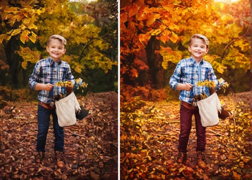 autumn photo session,fall picture frame,photographing children,falling on leaves,children's photo shoot,autumn background,autumn theme,autumn plaid pattern,throwing leaves,children's christmas photo shoot,autumn frame,photo shoot children,image editing,buffalo plaid trees,birch tree background,autumn leaf paper,round autumn frame,image manipulation,digital compositing,autumn colouring,Illustration,American Style,American Style 02