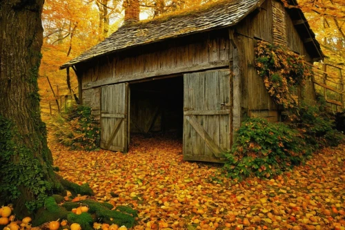 autumn idyll,wooden hut,autumn background,garden shed,fall landscape,autumn scenery,sheds,shed,golden autumn,autumn landscape,old barn,autumn theme,log cabin,wooden house,autumn motive,autumn chores,autumn forest,pumpkin autumn,autumn camper,the autumn,Illustration,Realistic Fantasy,Realistic Fantasy 14