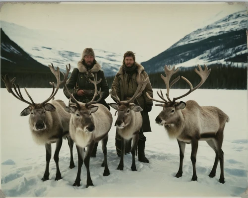 santa claus with reindeer,caribou,barren ground caribou,elk,buffalo plaid antlers,sleigh with reindeer,elk reposing on lateral moraine,moose antlers,common eland,reindeer from santa claus,yukon territory,whitetail,bull elk on lateral moraine,pair of ungulates,bull elk next to madison river,elks,young-deer,free deer,buck antlers,reindeer,Photography,Documentary Photography,Documentary Photography 03