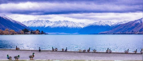 seton lake,new zealand,south island,milford sound,nz,mt cook,glacial lake,lake baikal,newzealand nzd,lugu lake,altai,heaven lake,baikal lake,lake thun,xinjiang,tekapo,lake mcdonald,lago federa,beautiful landscape,background view nature,Art,Classical Oil Painting,Classical Oil Painting 30