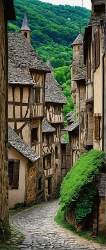 dordogne,wooden houses,half-timbered houses,medieval street,medieval town,stone houses,knight village,alsace,mountain village,escher village,medieval architecture,france,gruyere,normandy,mud village,ardennes,alpine village,villages,medieval,normandie region,Photography,Black and white photography,Black and White Photography 09