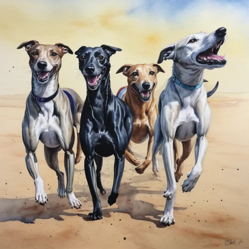 lurcher,greyhound racing,mudhol hound,galgo español,dogo sardesco,three dogs,sighthound,hound dogs,whippet,rescue dogs,dog illustration,smooth collie,color dogs,greyhound,hunting dogs,street dogs,ancient dog breeds,polish greyhound,dog breed,kennel club,Illustration,Realistic Fantasy,Realistic Fantasy 18