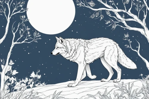 constellation wolf,howling wolf,howl,wolf,werewolf,gray wolf,wolf's milk,wolves,blue moon,werewolves,lunar,full moon,two wolves,moonlit,moonlight,digital illustration,lineart,full moon day,moonbeam,big moon,Illustration,Black and White,Black and White 02