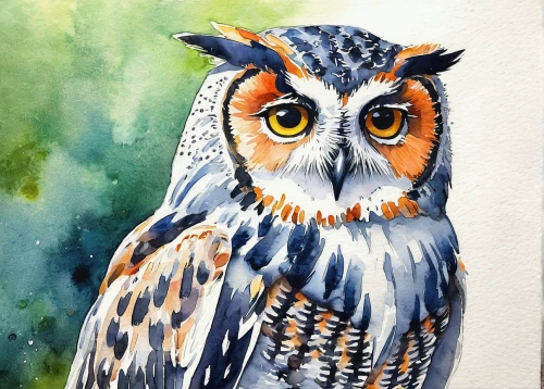 owl art,owl drawing,eared owl,owl,long-eared owl,siberian owl,little owl,large owl,small owl,boobook owl,southern white faced owl,kirtland's owl,spotted-brown wood owl,owl eyes,owlet,spotted wood owl,watercolor painting,great gray owl,short eared owl,eagle-owl,Illustration,Japanese style,Japanese Style 14