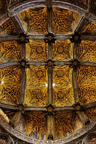 vaulted ceiling,ceiling,the ceiling,portcullis,honeycomb structure,alcazar of seville,medieval architecture,hall roof,york minster,dome roof,cathedral of modena,ceiling construction,entablature,lattice window,gothic architecture,notre dame,lattice windows,ceiling ventilation,notredame de paris,reims,Art,Classical Oil Painting,Classical Oil Painting 38