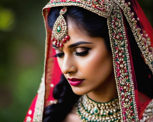 indian bride,indian woman,bridal jewelry,indian girl,bridal accessory,indian headdress,east indian,dowries,ethnic design,indian,indian girl boy,ethnic dancer,bridal,bridal dress,portrait photographers,wedding photography,portrait photography,radha,bridal clothing,ethnic,Illustration,Black and White,Black and White 16