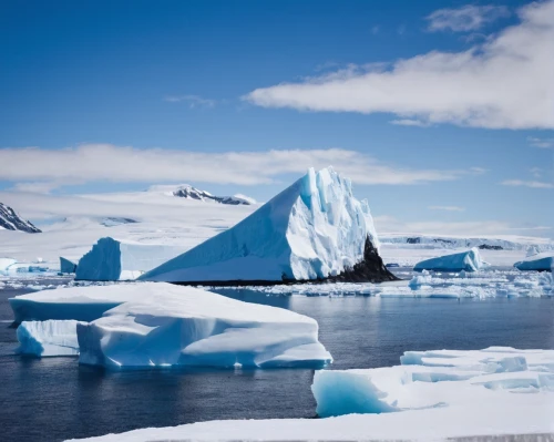 antarctic,antartica,antarctica,arctic antarctica,arctic ocean,ice floes,icebergs,iceberg,baffin island,ice floe,ice landscape,sea ice,greenland,antarctic bird,south pole,antarctic flora,arctic,polar ice cap,nordland,water glace,Illustration,Black and White,Black and White 12