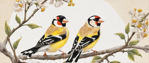 goldfinches,bird couple,european goldfinch,carduelis carduelis,passerine parrots,carduelis,bird painting,finches,goldfinch,birds on a branch,zebra finches,songbirds,birds on branch,old world oriole,garden birds,dickcissel,flower and bird illustration,red-bellied wood pecker,black headed grosbeak,young birds,Art,Classical Oil Painting,Classical Oil Painting 02