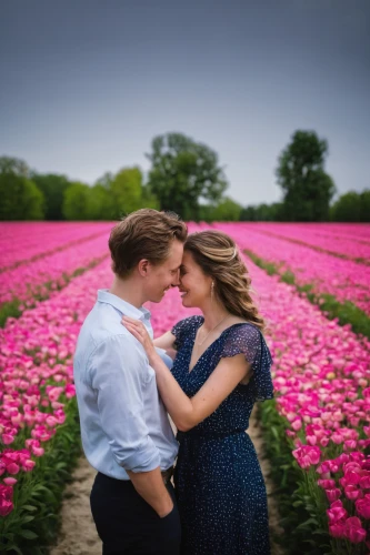 flowers field,pre-wedding photo shoot,field of flowers,tulip festival,tulip field,flower field,romantic portrait,blooming field,tulip fields,passion photography,tulips field,flower wall en,flower background,portrait photographers,vintage boy and girl,vintage man and woman,young couple,red clover,floral background,flower garden,Photography,Artistic Photography,Artistic Photography 10