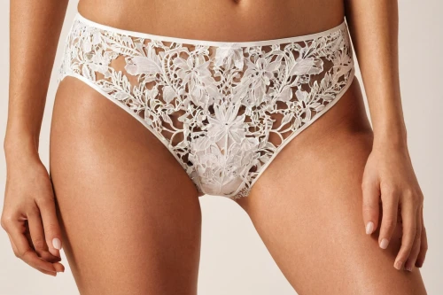 vintage lace,royal lace,lace border,women's cream,paper lace,agent provocateur,lace,garter,undergarment,eyelet,white silk,underwear,filigree,doily,damask,lace borders,pollen panties,butterfly white,panties,underpants,Photography,Fashion Photography,Fashion Photography 05