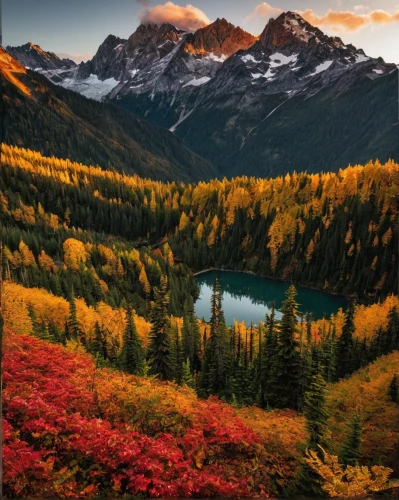 autumn mountains,fall landscape,autumn background,autumn landscape,mount rainier,mountain sunrise,fall colors,larch forests,alaska,colors of autumn,mountain landscape,british columbia,autumn scenery,alpine sunset,autumn colors,bernese alps,nature landscape,beautiful landscape,larch trees,autumn theme,Photography,Documentary Photography,Documentary Photography 33