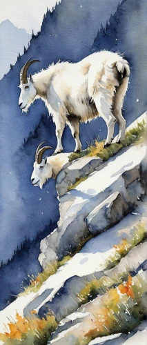 pyrenean shepherd,landseer,pyrenean mastiff,watercolor dog,snow hare,mountain lion,english setter,borzoi,mountain goat,white lion,st bernard,clumber spaniel,st. bernard,dall's sheep,mountain sheep,alpine cow,canis lupus,great pyrenees,watercolor cat,watercolour,Illustration,Black and White,Black and White 15