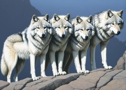 wolf pack,wolves,gray wolf,canis lupus,huskies,canines,wolf hunting,wolf couple,wolwedans,european wolf,canidae,two wolves,werewolves,wolf,howling wolf,wolfdog,wolf bob,guards of the canyon,wolf's milk,the wolf pit,Art,Artistic Painting,Artistic Painting 48