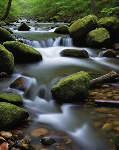 mountain stream,flowing creek,clear stream,streams,mountain spring,brook landscape,stream bed,flowing water,mountain river,the brook,rushing water,water flowing,river landscape,stream,water flow,japan landscape,longexposure,riparian forest,watercourse,aaa,Photography,Documentary Photography,Documentary Photography 20