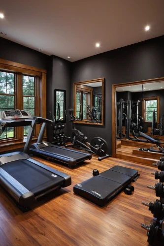 fitness room,fitness center,workout equipment,indoor rower,exercise equipment,leisure facility,gymnastics room,indoor cycling,wood flooring,luxury home interior,great room,recreation room,hardwood floors,home workout,wellness,workout items,family room,exercise machine,treadmill,fitness coach,Conceptual Art,Fantasy,Fantasy 30