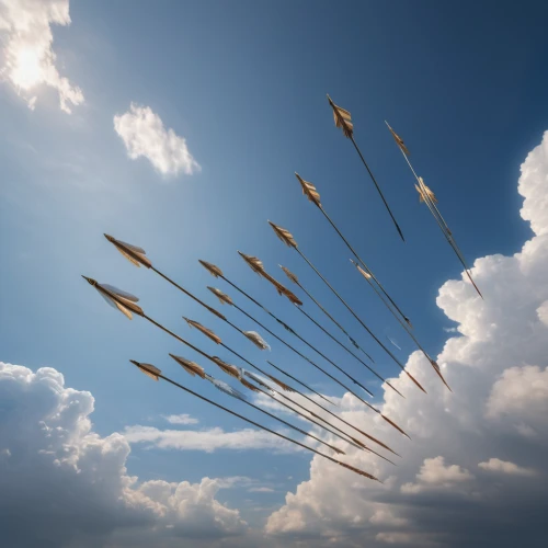decorative arrows,inward arrows,rocket-powered aircraft,wind direction,draw arrows,air racing,arrows,flying seeds,wind finder,flying dandelions,fireworks rockets,wind direction indicator,awesome arrow,net promoter score,kite flyer,kites,hand draw arrows,rows of planes,aerobatics,dandelion flying,Photography,General,Natural