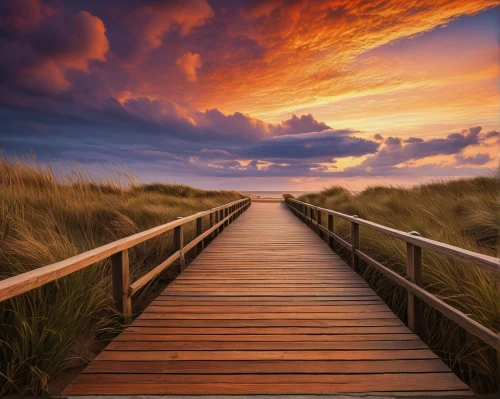 wooden bridge,boardwalk,wooden pier,wooden path,walkway,landscape photography,board walk,pathway,the road to the sea,dune landscape,beach landscape,pink sand dunes,sylt,coral pink sand dunes,sand paths,dune sea,baltic sea,ameland,the mystical path,amrum,Art,Classical Oil Painting,Classical Oil Painting 06