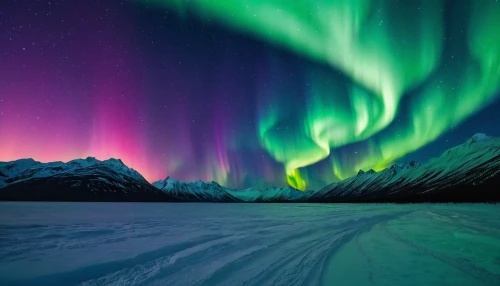 northen lights,norther lights,northern lights,the northern lights,northern light,auroras,nothern lights,aurora borealis,polar lights,northen light,green aurora,northernlight,aurora,yukon territory,borealis,polar aurora,aurora colors,baffin island,southern aurora,large aurora butterfly,Illustration,Vector,Vector 02