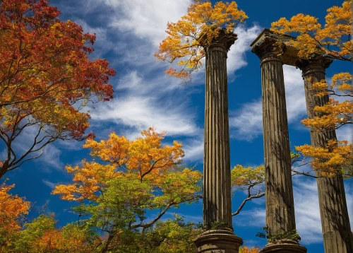 doric columns,fall landscape,roman columns,deciduous trees,autumn trees,three pillars,fall foliage,columns,the trees in the fall,golden trumpet trees,trees in the fall,pillars,autumn scenery,autumn landscape,colors of autumn,autumn background,ash-maple trees,ancient greek temple,greek temple,deciduous forest,Illustration,Black and White,Black and White 21