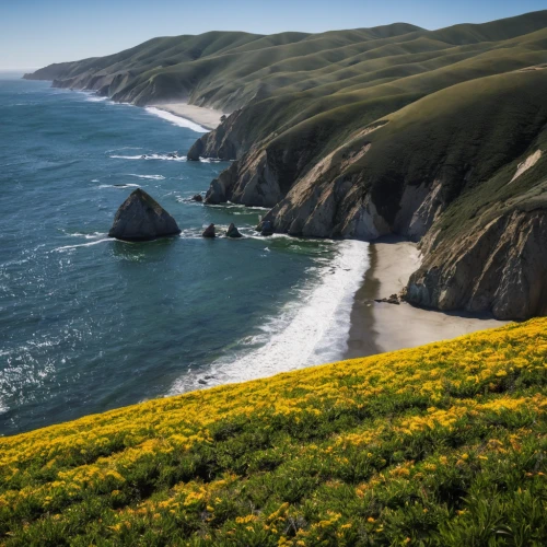 pacific coastline,united states national park,pacific coast highway,northern california,bixby creek bridge,coastal landscape,beautiful beaches,california,sour golden coast,cliff coast,mountain beach,coastline,beach landscape,coastal and oceanic landforms,highway 1,cliff beach,bixby bridge,sand coast,cliffs ocean,dune landscape,Photography,Fashion Photography,Fashion Photography 18