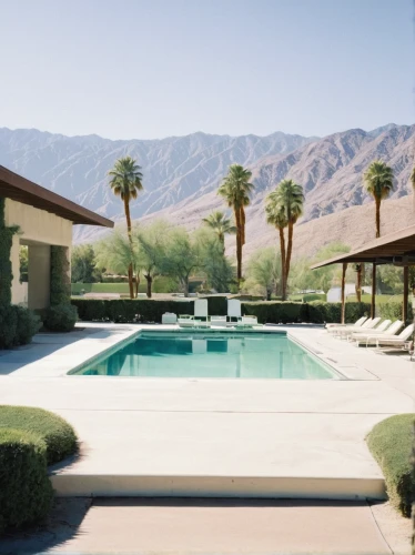 palm springs,mid century modern,pool house,outdoor pool,mid century house,indian canyon golf resort,dunes house,indian canyons golf resort,bendemeer estates,two palms,luxury property,bogart village,roof landscape,swimming pool,bungalow,royal palms,roof top pool,backyard,mid century,poolside,Photography,Documentary Photography,Documentary Photography 05