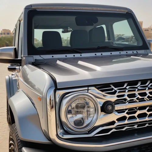 mercedes-benz g-class,land rover defender,land rover discovery,g-class,protective grille,ford f-350,ford bronco,compact sport utility vehicle,toyota land cruiser,land rover,defender,ford f-550,metal grille,land-rover,chevrolet advance design,ford f-series,ford bronco ii,land rover series,nissan patrol,ford f-650,Photography,General,Natural