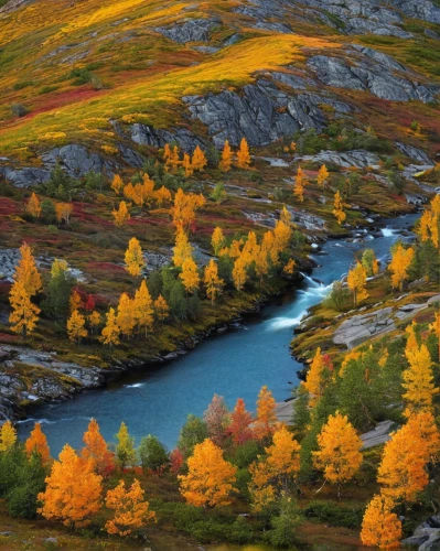 autumn mountains,fall landscape,colors of autumn,yukon territory,autumn landscape,northern norway,larch trees,larch forests,nature of mongolia,splendid colors,nature mongolia,autumn scenery,beautiful landscape,altai,autumn colors,autumn idyll,mountain meadow,paine national park,american larch,landscapes beautiful,Illustration,Abstract Fantasy,Abstract Fantasy 03