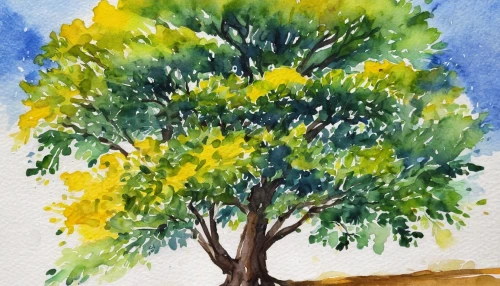 watercolor tree,painted tree,watercolor pine tree,ornamental tree,jaggery tree,flourishing tree,yellow tabebuia,rosewood tree,orange tree,watercolor background,golden trumpet tree,argan tree,carob tree,olive tree,fig tree,tabebuia,lemon tree,watercolor painting,watercolor,vinegar tree,Art,Classical Oil Painting,Classical Oil Painting 16