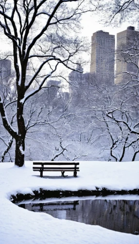 snowy landscape,snow landscape,winter landscape,winter background,central park,winter wonderland,park bench,snow-capped,wintry,snow scene,newyork,snow bridge,boston,beautiful japan,fragrant snow sea,new york,montreal,new england,the snow falls,outdoor bench,Photography,Documentary Photography,Documentary Photography 09