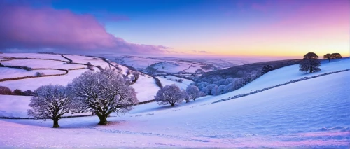 snow landscape,snowy landscape,winter landscape,beautiful landscape,fragrant snow sea,snowy mountains,snow fields,snow scene,mountain landscape,winter background,landscape mountains alps,landscapes beautiful,carpathians,mountainous landscape,christmas landscape,mountains snow,landscape background,ice landscape,purple landscape,alpine region,Illustration,Realistic Fantasy,Realistic Fantasy 26