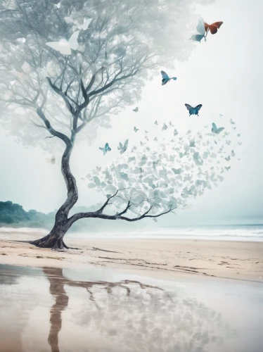 photo manipulation,butterfly isolated,isolated tree,the japanese tree,photomanipulation,butterfly background,watercolor tree,isolated butterfly,almond tree,background view nature,tree thoughtless,digital compositing,landscape background,world digital painting,photoshop manipulation,wondertree,image manipulation,creative background,conceptual photography,lone tree,Photography,Artistic Photography,Artistic Photography 07