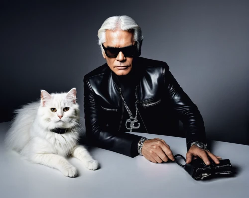silver fox,karl,the cat and the,feline look,animal feline,human and animal,cats,two cats,the cat,ocelot,white cat,pet black,ritriver and the cat,aging icon,cat lovers,feline,medical icon,business icons,black cat,felines,Illustration,Realistic Fantasy,Realistic Fantasy 29