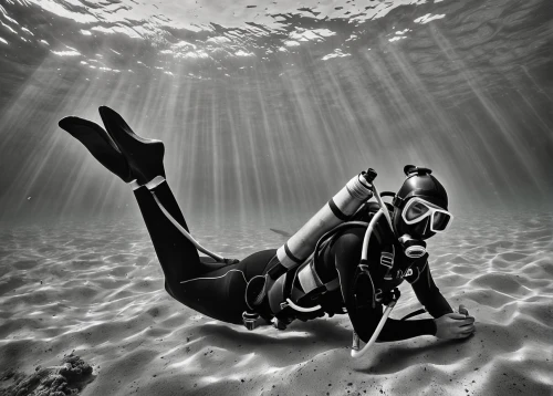 underwater diving,scuba diving,freediving,scuba,divemaster,diving equipment,under the water,lembeh,under water,submersible,deep sea diving,submerged,underwater world,ocean underwater,underwater,photo session in the aquatic studio,dry suit,diving,undersea,ocean floor,Illustration,Black and White,Black and White 25