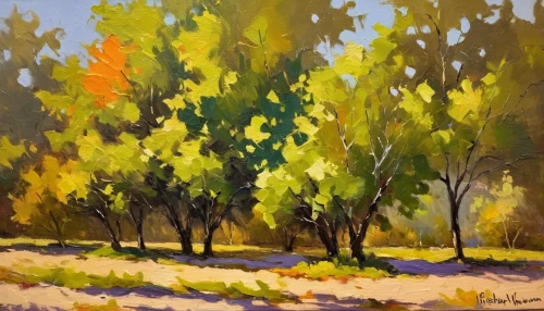 trees in the fall,olive grove,mesquite flats,fall landscape,painted tree,the trees in the fall,palma trees,new mexico maple,autumn trees,orchards,autumn landscape,row of trees,fall foliage,birch forest,golden trumpet trees,oil painting,birch alley,poplar tree,small landscape,walnut trees,Conceptual Art,Oil color,Oil Color 22