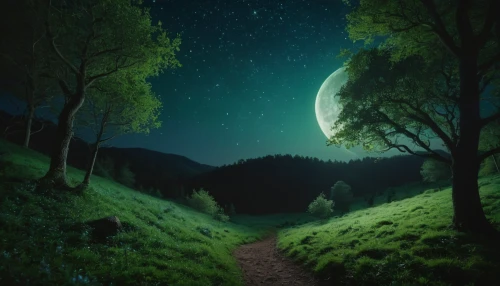 moonlit night,fantasy picture,landscape background,fantasy landscape,the mystical path,cartoon video game background,moon and star background,night scene,photo manipulation,nightscape,photomanipulation,moonlit,night image,lunar landscape,forest of dreams,3d background,the path,full hd wallpaper,world digital painting,forest background,Photography,General,Cinematic