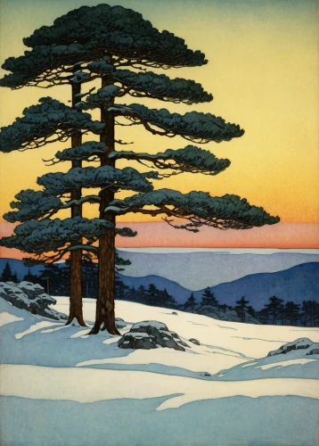 pine trees,pine forest,snow in pine trees,spruce-fir forest,jack pine,white pine,pine tree,pine-tree,watercolor pine tree,winter landscape,snow in pine tree,evergreen trees,shortstraw pine,spruce trees,cool woodblock images,snow trees,snow landscape,spruce forest,fir trees,evergreens,Illustration,Retro,Retro 17