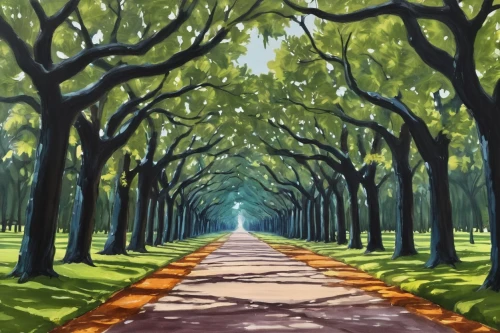 tree-lined avenue,forest road,tree lined lane,tree lined path,maple road,tree lined,cartoon forest,tree grove,row of trees,cherry blossom tree-lined avenue,forest path,walk in a park,cartoon video game background,green forest,avenue,forest background,tree canopy,forest of dreams,grove of trees,country road,Photography,Documentary Photography,Documentary Photography 05
