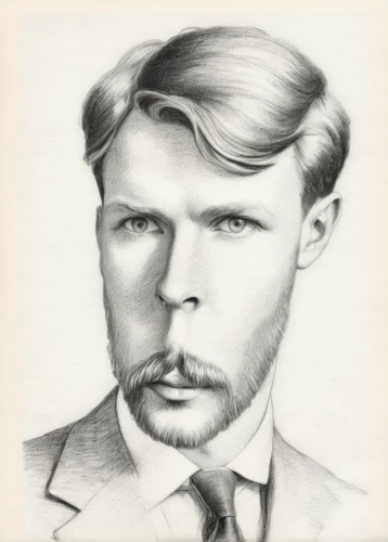 vintage drawing,david bowie,pencil drawing,charcoal drawing,self-portrait,pencil and paper,pencil drawings,vincent van gough,charcoal pencil,graphite,pencil art,vincent van gogh,artist portrait,andy warhol,grand duke of europe,pferdeportrait,chalk drawing,digital drawing,portrait,pencil frame,Illustration,Black and White,Black and White 30