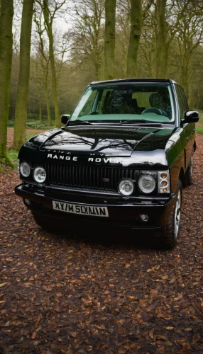 jaguar xj,chrysler concorde,bentley turbo rt,bentley brooklands,rolls-royce phantom coupé,lancia delta,bentley turbo r,chrysler,jensen interceptor,daimler sovereign,lamborghini jarama,lancia,jaguar xjs,chrysler windsor,fiat coupé,chrysler 300,bmw 6 series (e24),chrysler 300c,rolls-royce silver seraph,coronet,Art,Artistic Painting,Artistic Painting 09