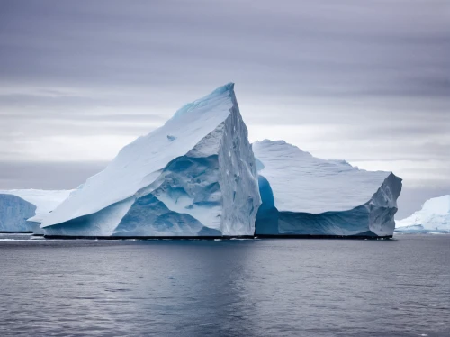 iceberg,antarctica,antarctic,icebergs,antartica,arctic antarctica,ice floe,ice floes,sea ice,antarctic flora,antarctic bird,arctic ocean,greenland,polar ice cap,iceberg lettuce,ice landscape,arctic,glacial melt,the glacier,iceburg lettuce,Conceptual Art,Fantasy,Fantasy 11