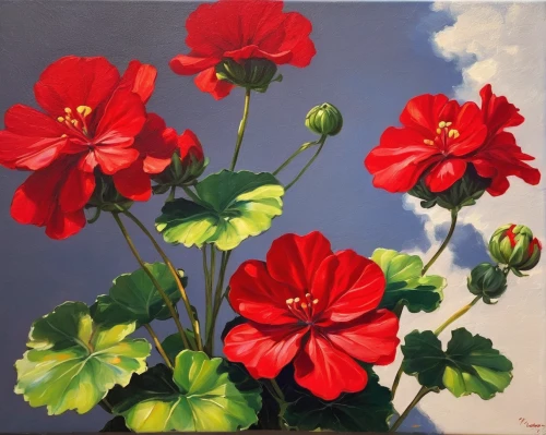 geraniums,geranium,hanging geraniums,red flowers,red anemones,flower painting,coquelicot,carol colman,geranium maderense,red carnations,red poppies,geranium sanguineum,nasturtiums,red carnation,red ranunculus,nasturtium,cloves schwindl inge,geranium macrorrhizum,red blooms,red petals,Art,Artistic Painting,Artistic Painting 06